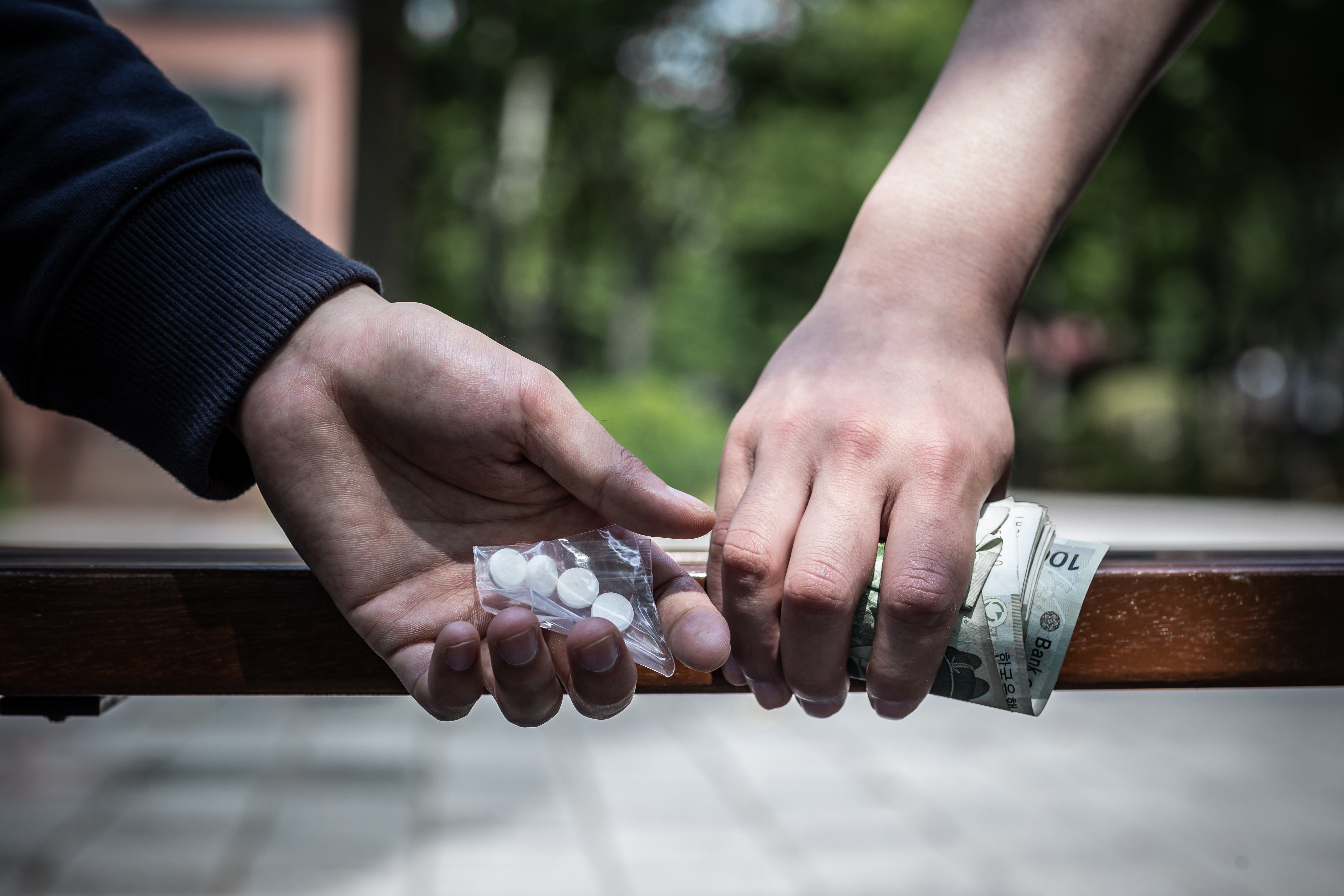 성공사례 이미지