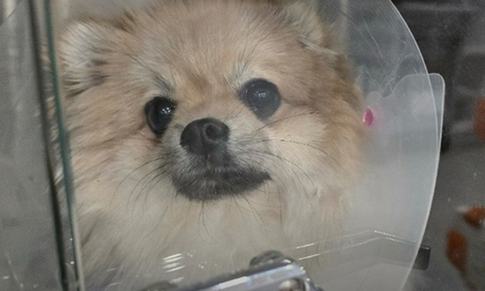 성공사례 이미지