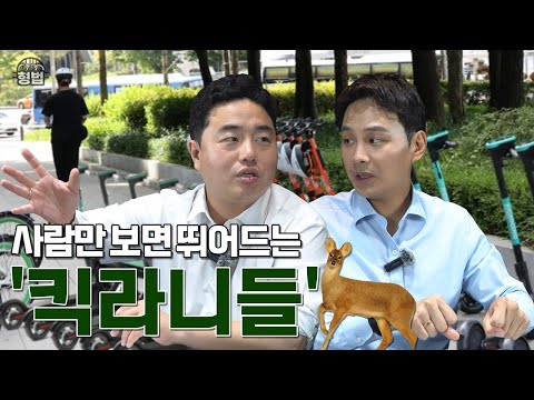 성공사례 이미지